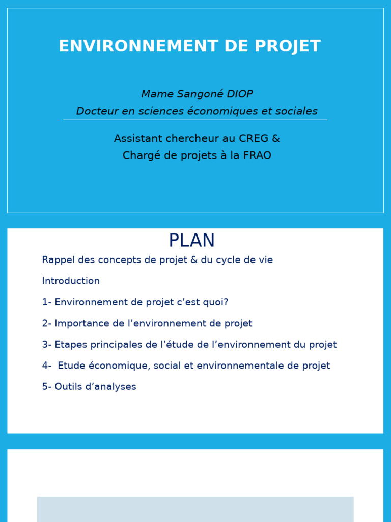 Étude de l'Environnement de Projet | PDF | Environnement naturel | Budget