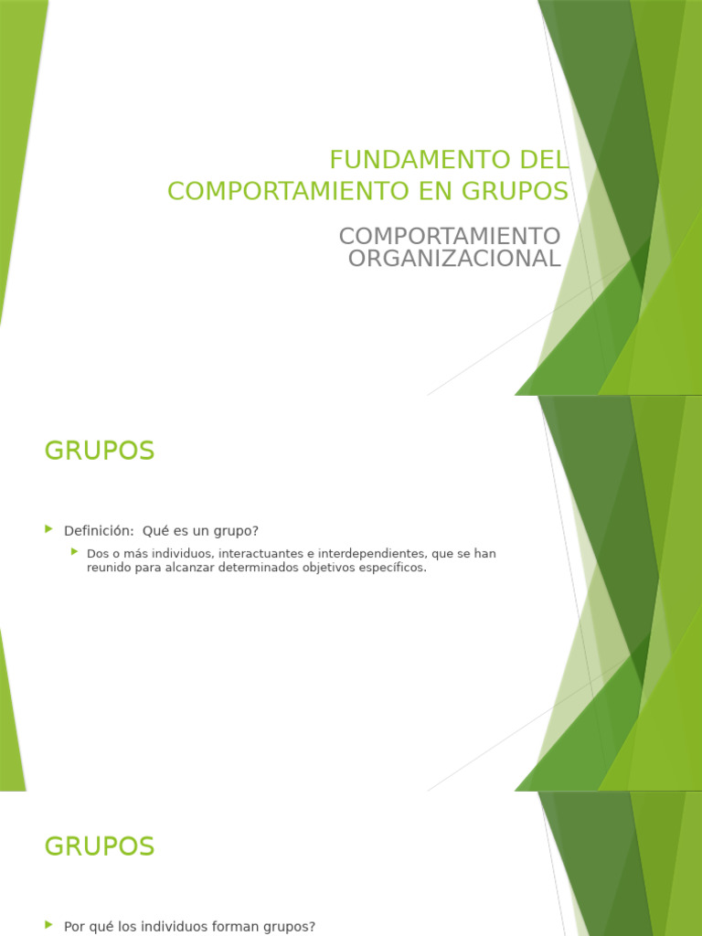 Fundamentos del Comportamiento en Grupos | PDF | Comportamiento ...