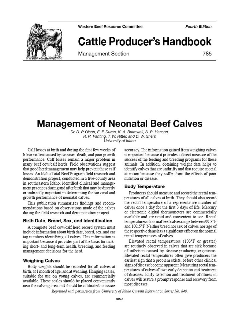 785 Management of Neonatal Beef Calves | PDF | Cattle | Breastfeeding