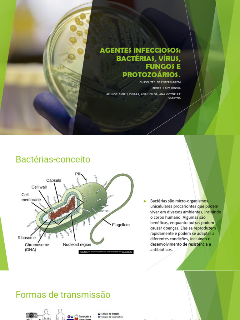 Agentes Infecciosos: Bactérias, Vírus, Fungos e Protozoários | PDF ...