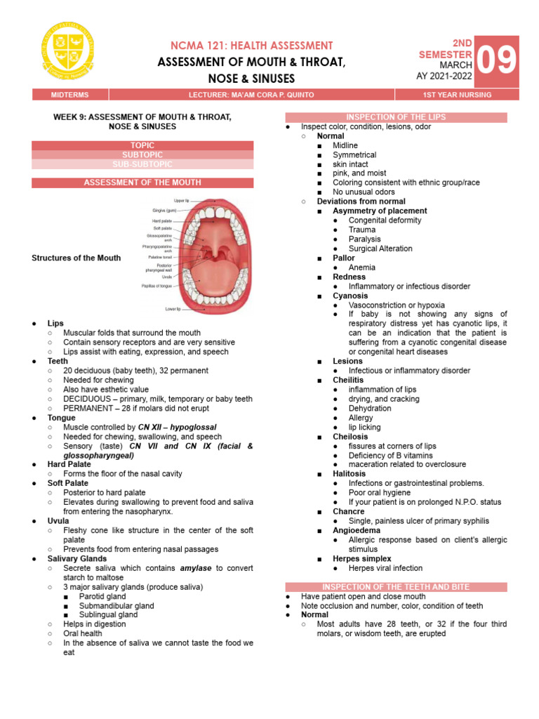 Week 9 Assessment of Mouth Throat | PDF | Human Nose | Diseases And ...