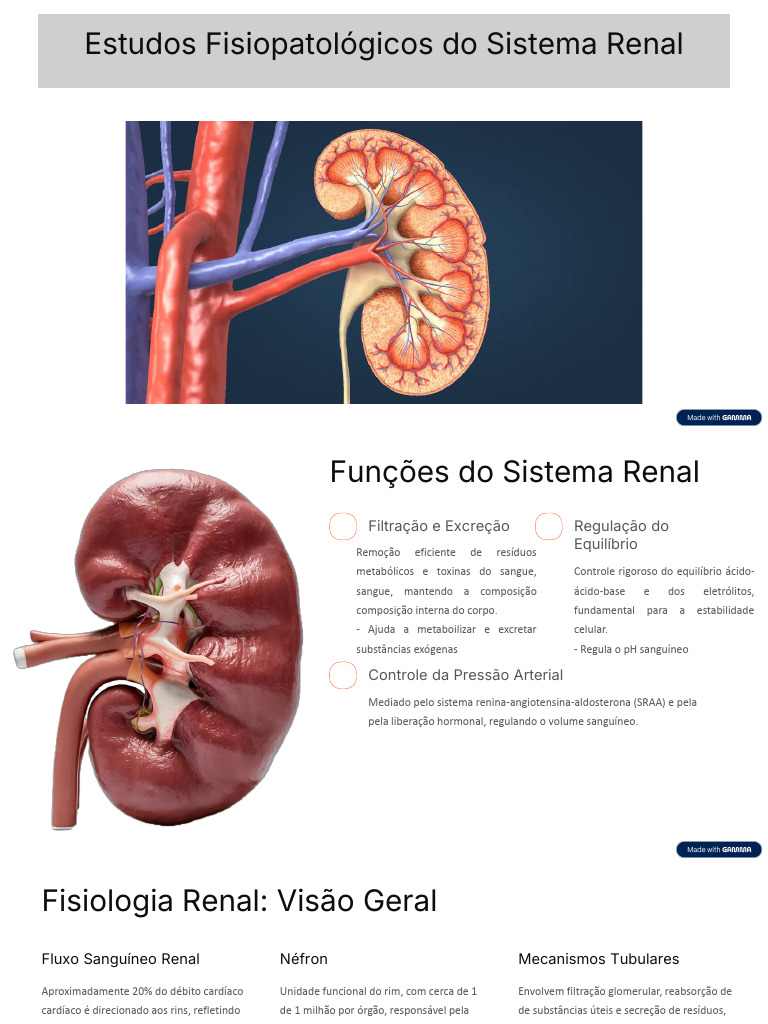 Estudos Fisiopatologicos Do Sistema Renal | PDF | Rim | Órgão (anatomia)