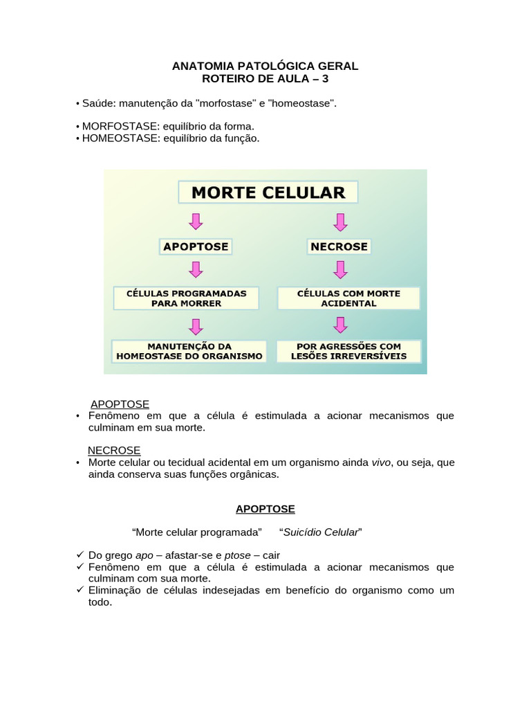 Apoptose e Necrose: Conceitos e Tipos | PDF | Necrose | Apoptose