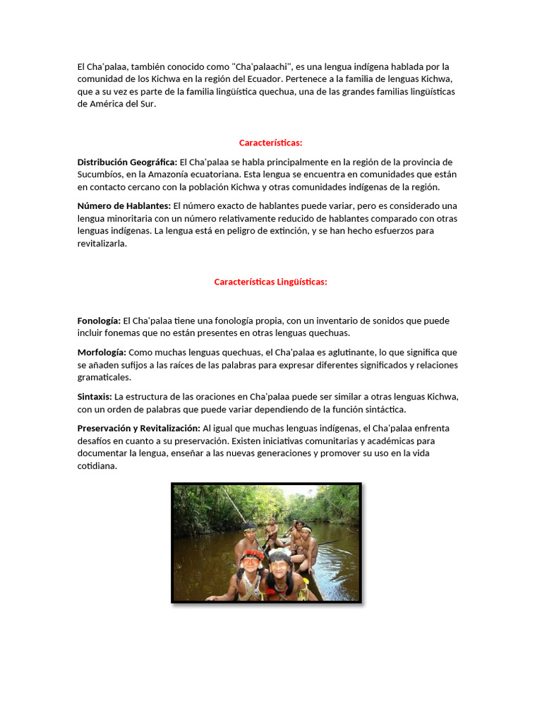 Lengua Cha'Palaa Grupo 4 | PDF | Lingüística | Comunicación humana