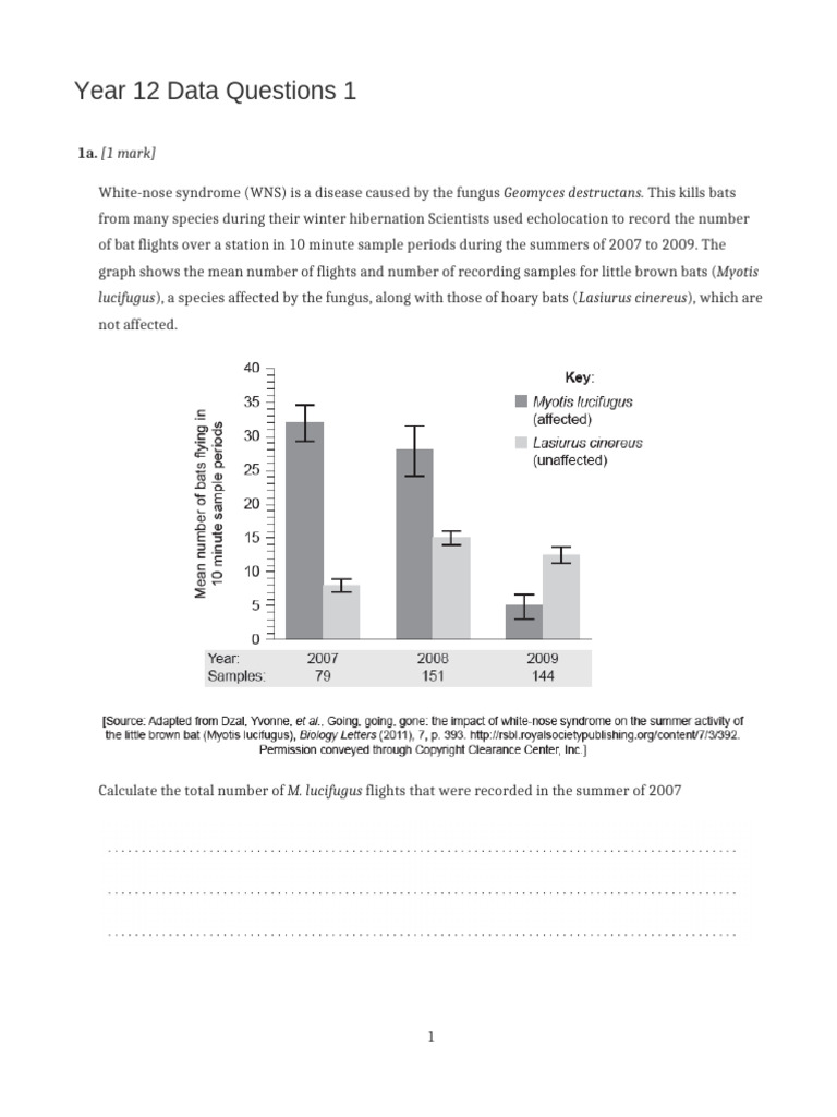 Year 12 Bat Population Data Analysis | PDF