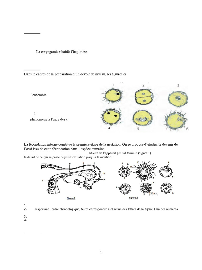 Reproduction chez les mammifères : exercices | PDF | Fécondation | la ...