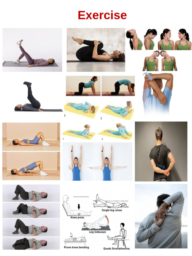 Exercise and Does Dont | PDF