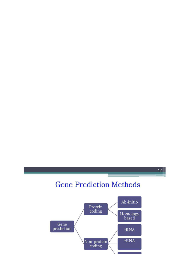 Gene Prediction | PDF