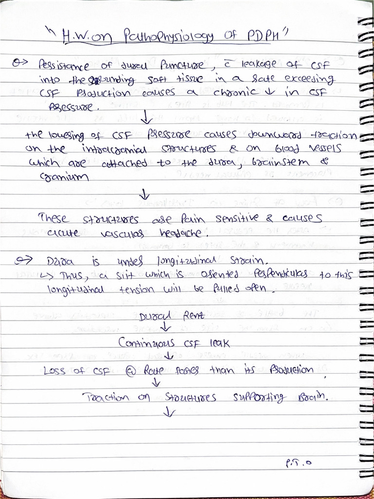 PDPH Pathophysiology | PDF