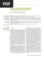 Download El devenir histrico de la glndula pineal 1 by Juan Angel David SN89188200 doc pdf