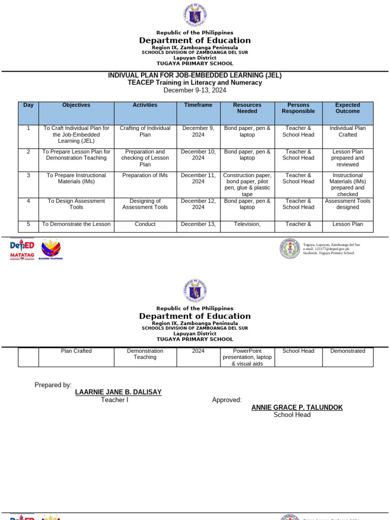 Job-Embedded Learning Plan 2024 | PDF | Pedagogy | Human Communication