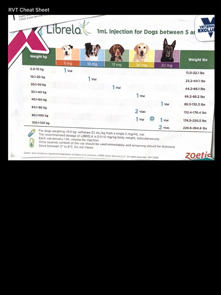 RVT Cheat Sheet | PDF