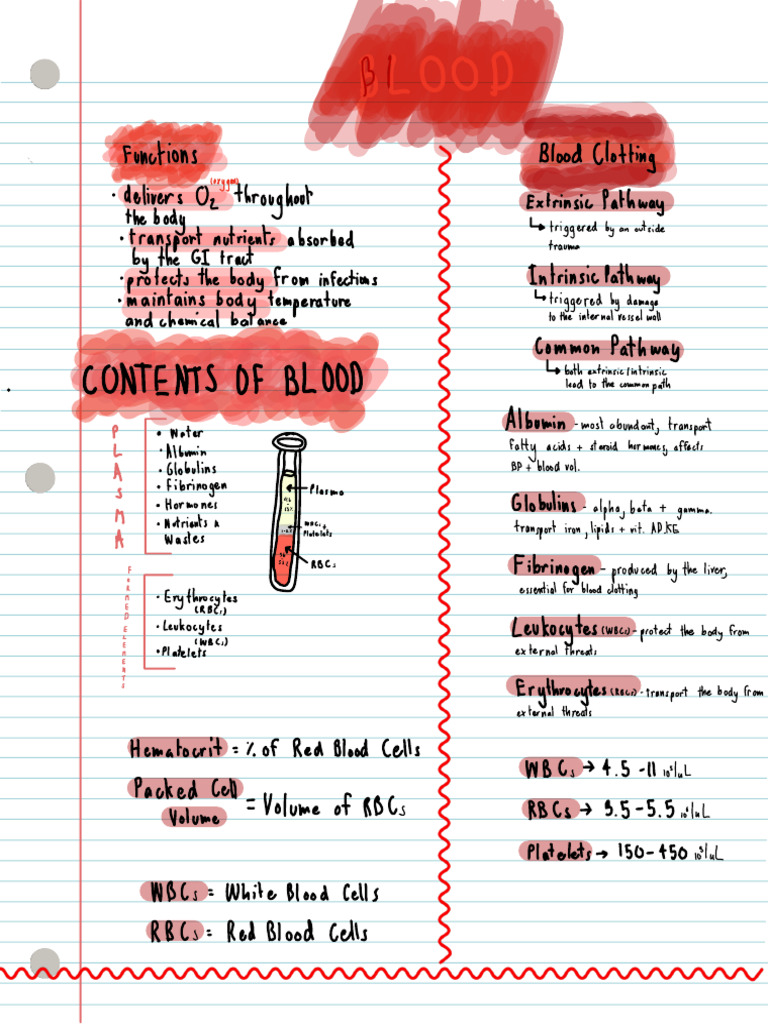 Blood? | PDF
