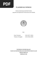 Download Plasmid Dan Episom by Widyarnes N Tika SN89196566 doc pdf
