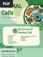 Animal Cell Structure Diagram | PDF
