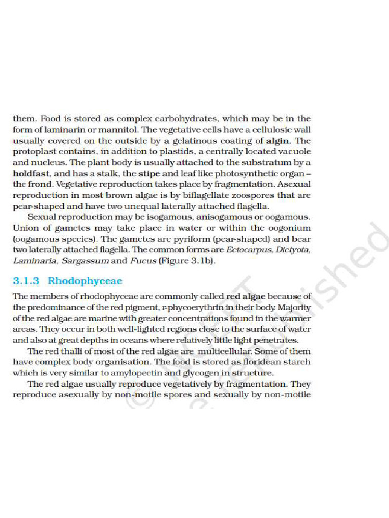 1111 | PDF