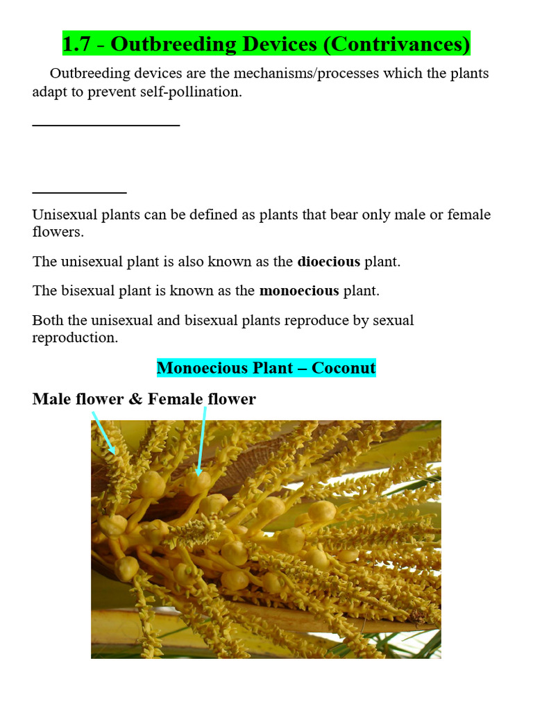 Outbreeding Devices in Flowering Plants | PDF | Flowers | Pollination