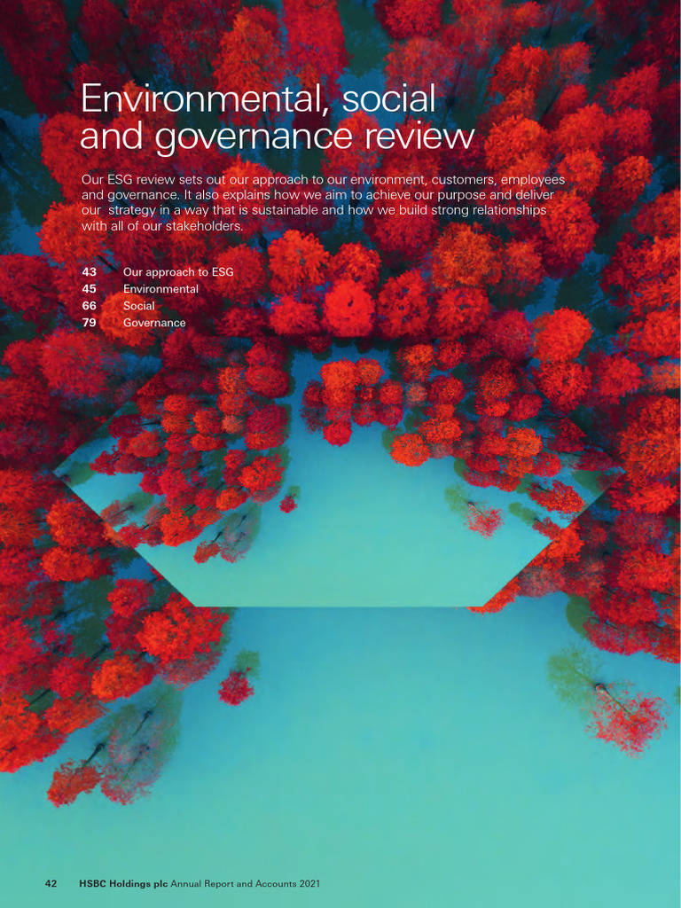Esg Review 2021 | PDF | Climate Change Mitigation | International ...