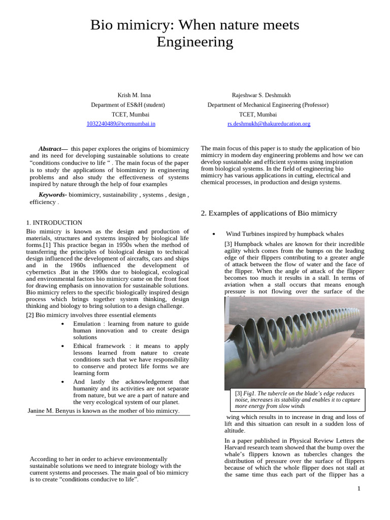 Biomimicry When Nature Meets Engineering | PDF | Mechanical Engineering ...