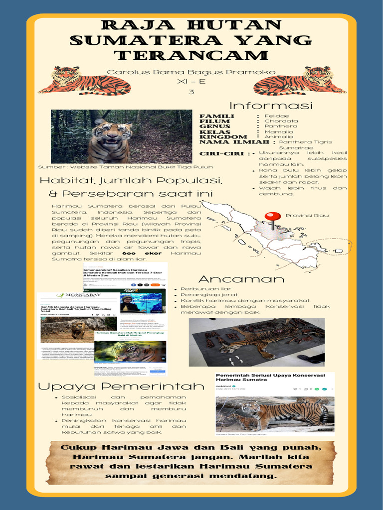 Konservasi Harimau Sumatera di Riau | PDF