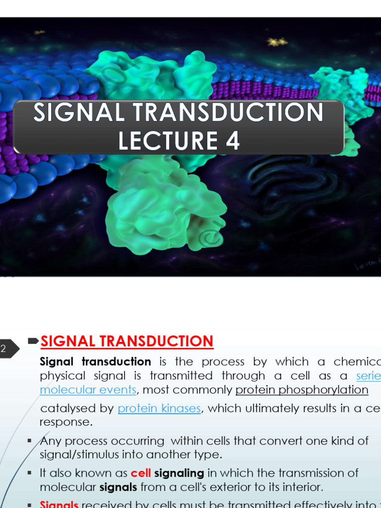Understanding Signal Transduction Mechanisms | PDF | Cell Signaling ...