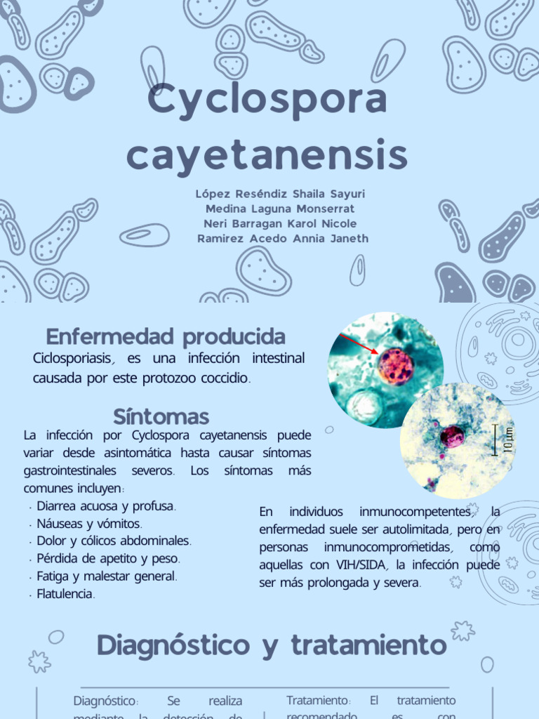 Tratamiento de Ciclosporiasis | PDF | Especialidades Medicas