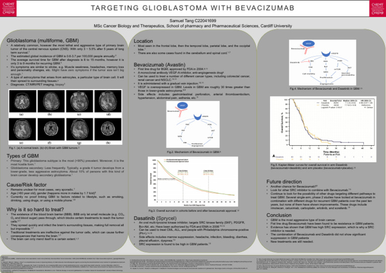TARGETING GLIOBLASTOMA WITH BEVACIZUMAB-Samuel Tang | PDF | Neoplasms ...