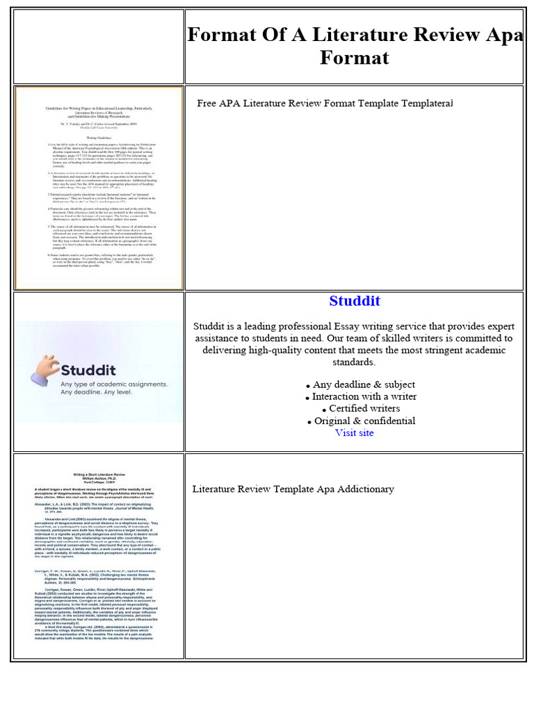 APA Literature Review Format Guide | PDF | Exchange Rate | Essays