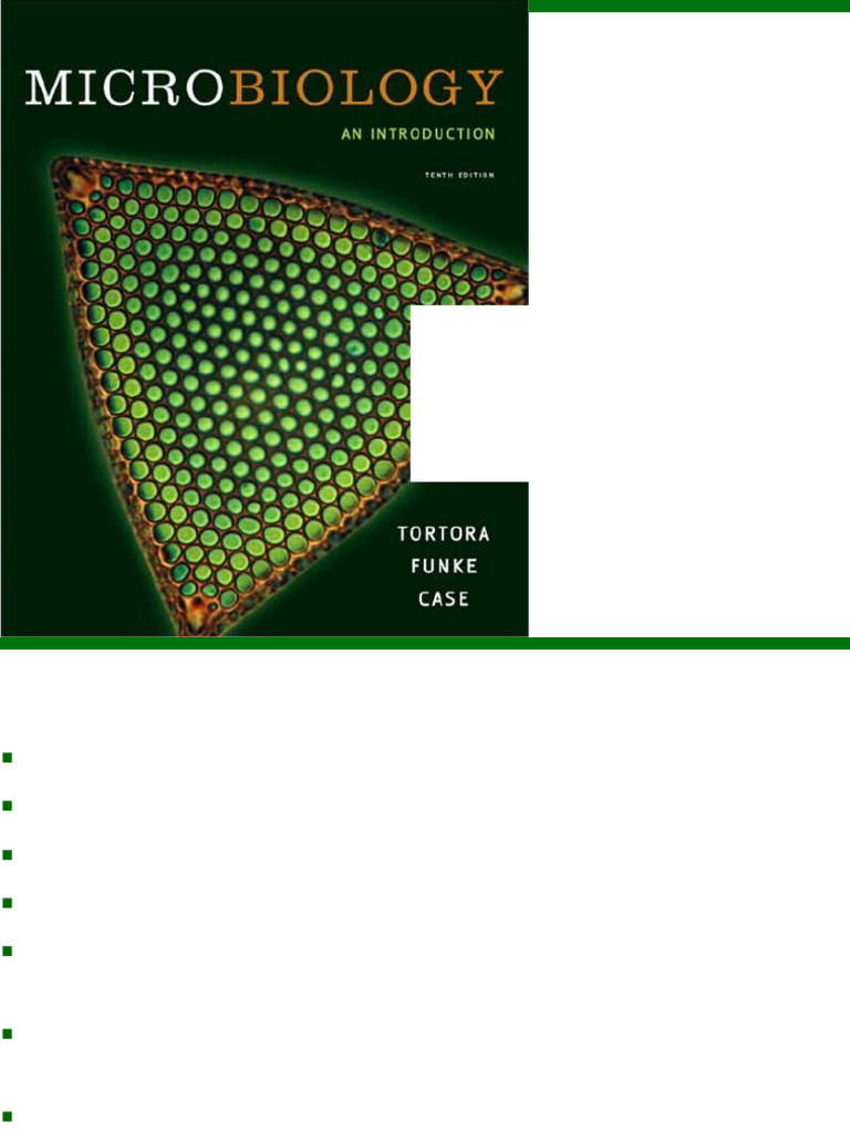 Fungi, Algae, Protozoa, and Helminths Overview | PDF | Fungus | Yeast