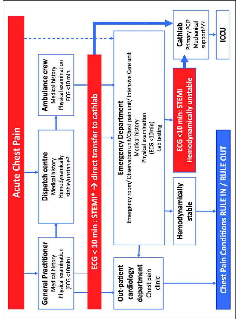 Clinical Pathways of Acute Chest Pain | PDF