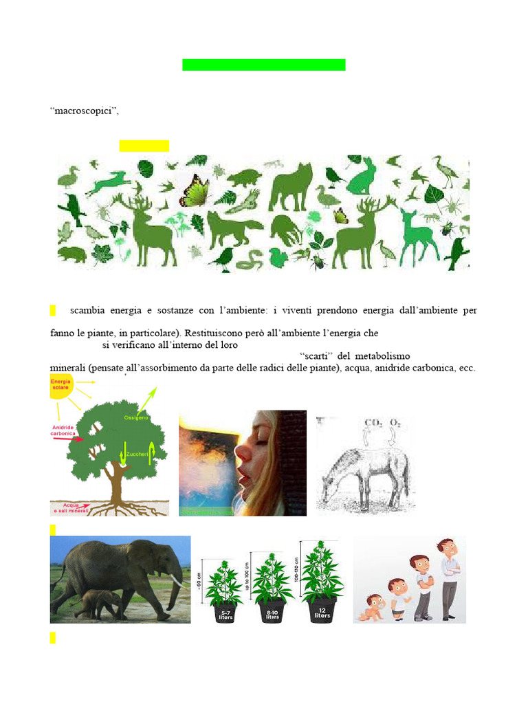 A I Viventi e Le Cellule Ling | PDF