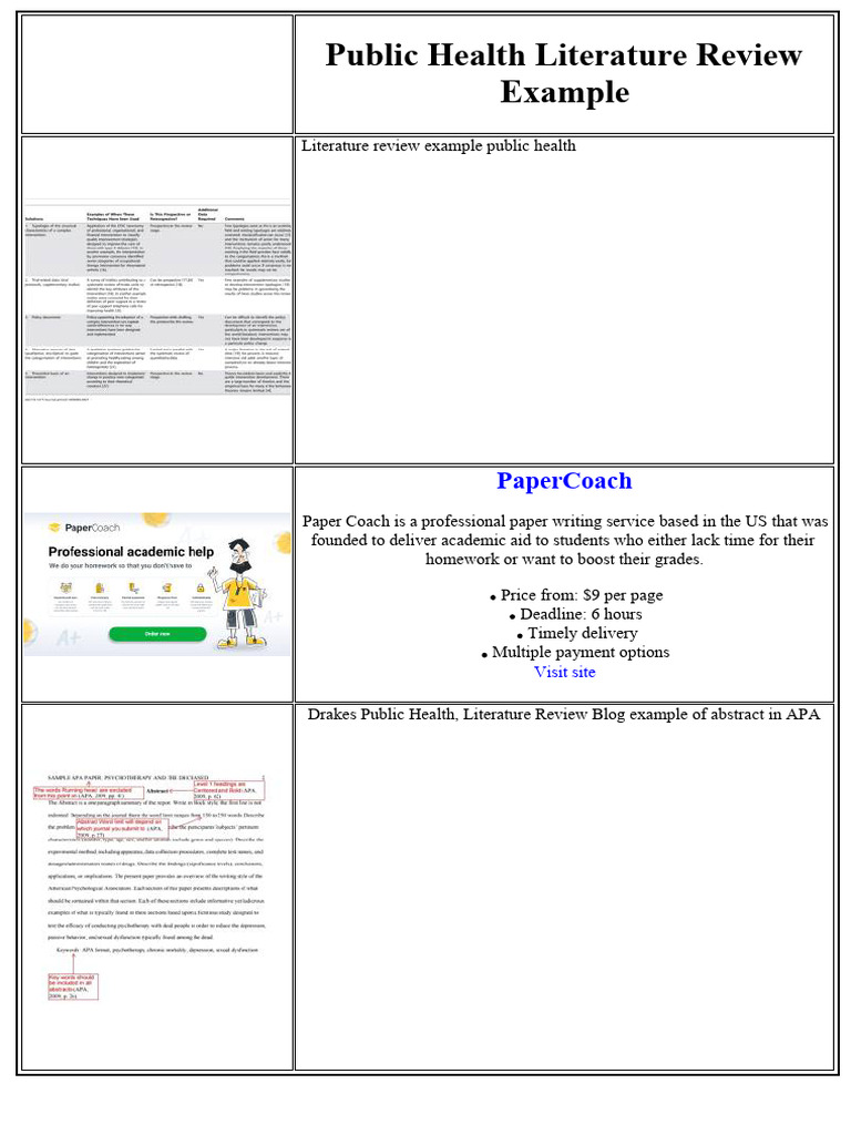 PUBLIC HEALTH LITERATURE REVIEW EXAMPLES visual data 5