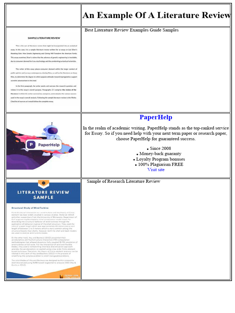 Comprehensive Literature Review Guide | PDF | Marketing | Essays