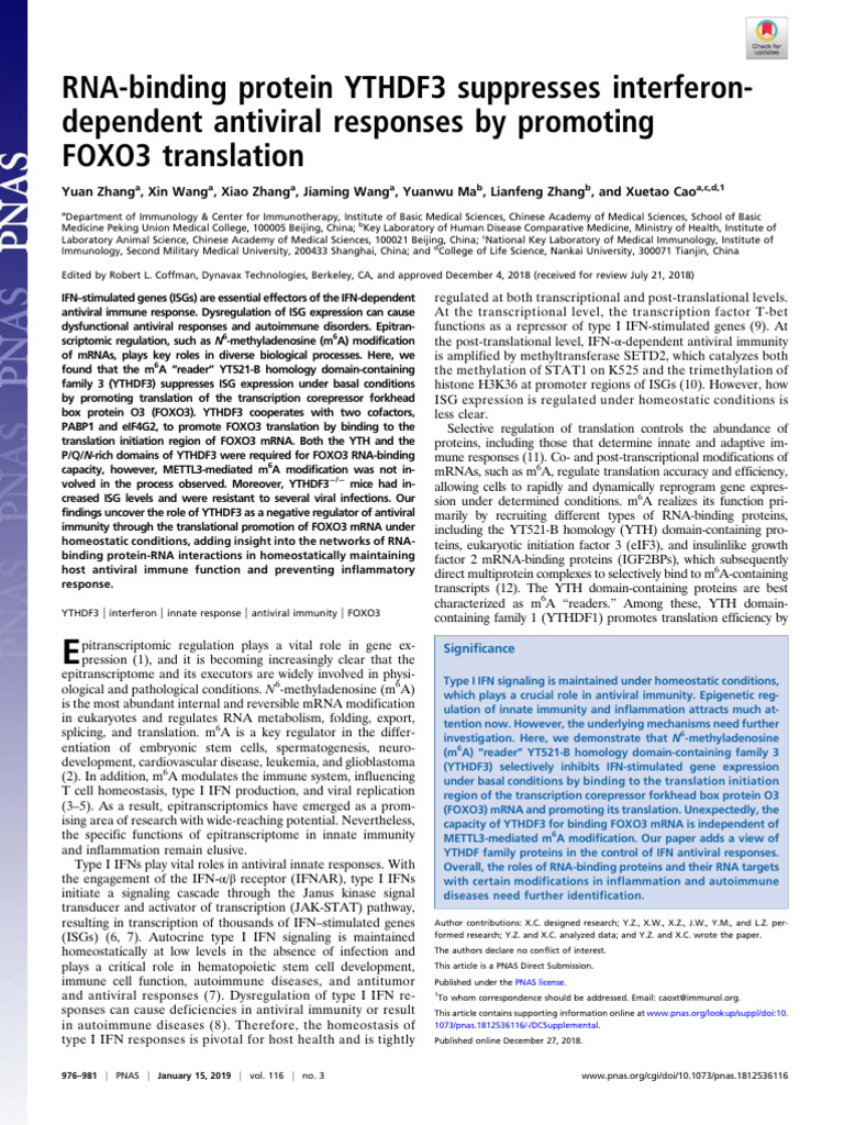 YTHDF3 Regulates Antiviral Immunity | PDF | Interferon | Messenger Rna