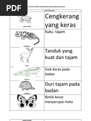 Gambar Kuku Kuning Kuku Tajam Ilustrasi Isyarat Kreatif Isyarat Haiwan Kartun Kelapa Putih Kuku Tajam Ilustrasi Png Dan Psd Untuk Muat Turun Percuma