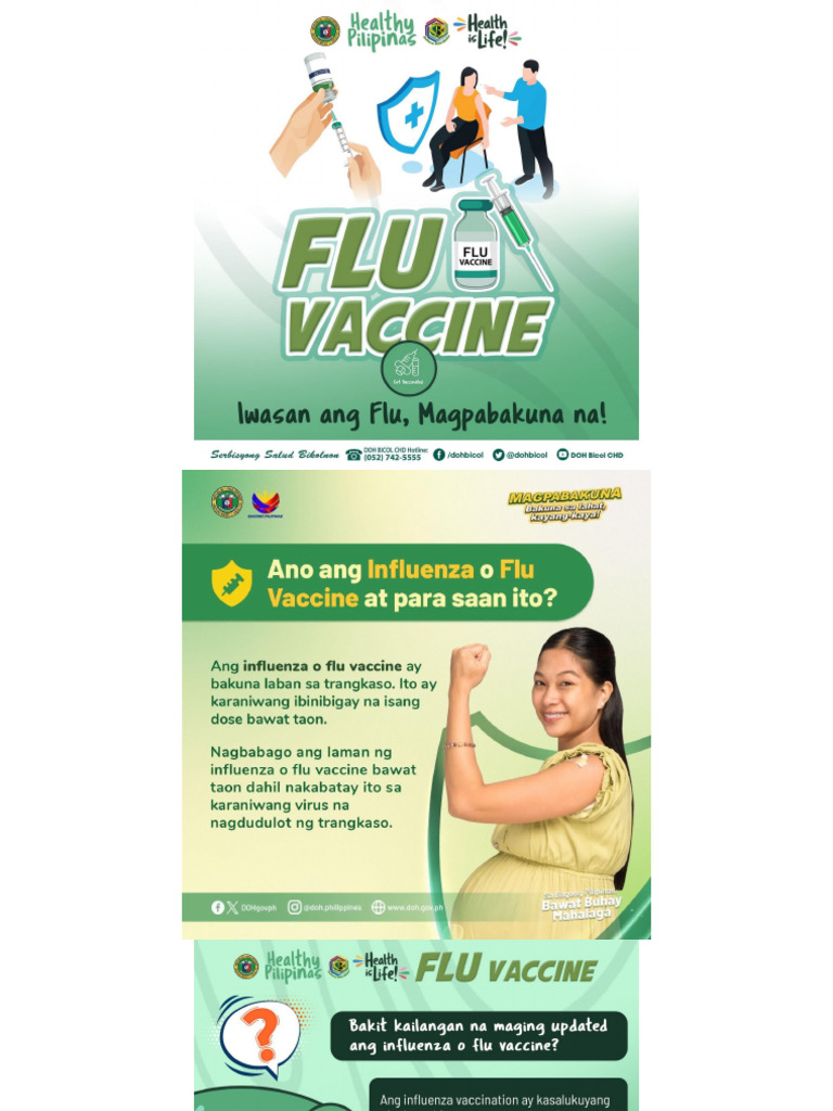 Flu Vaccination | PDF