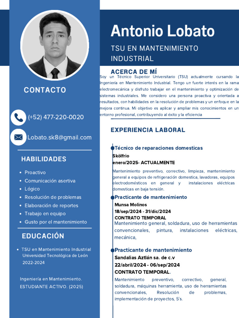 CV - Act.2025.lobato - PDF 2025 5 27 | PDF | Ingeniería