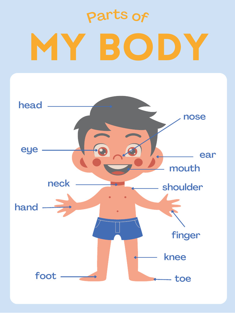 Parts of My Body Poster | PDF