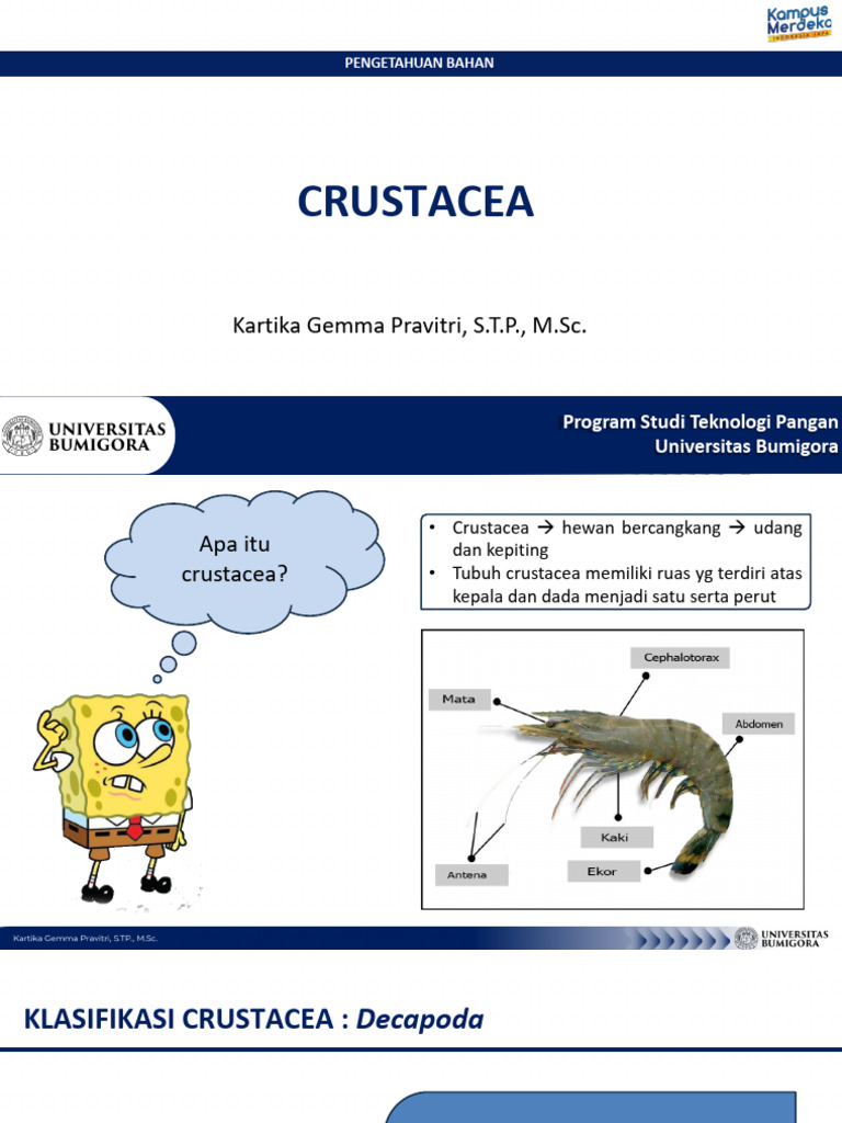 Panduan Lengkap Crustacea dan Udang | PDF