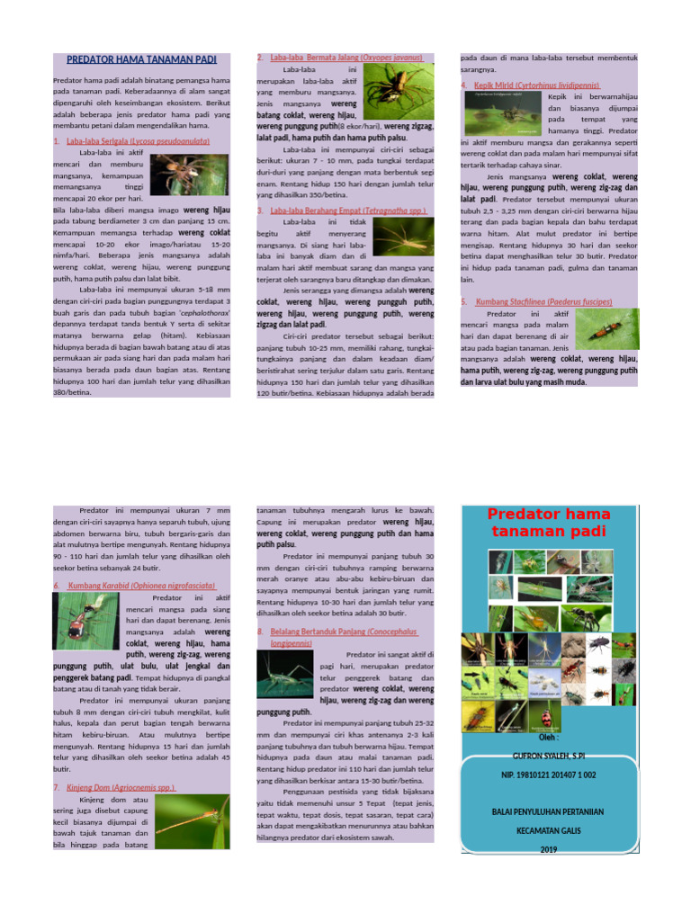 Predator Hama Padi dan Perannya | PDF