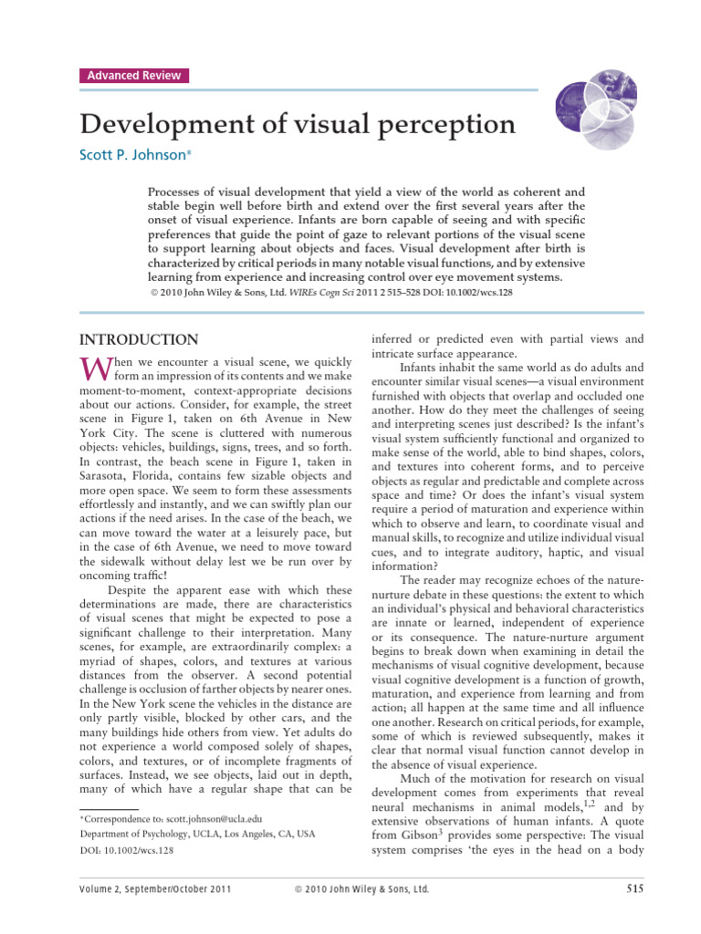 Visual Perception Development in Infants | PDF | Visual System | Perception
