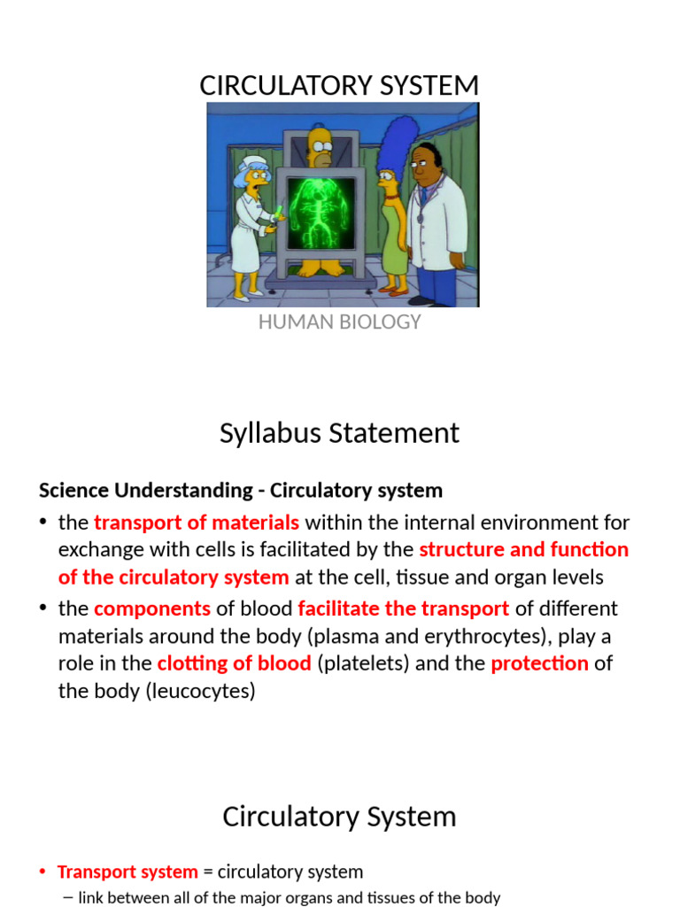 Human Circulatory System Overview | PDF | Circulatory System | Heart