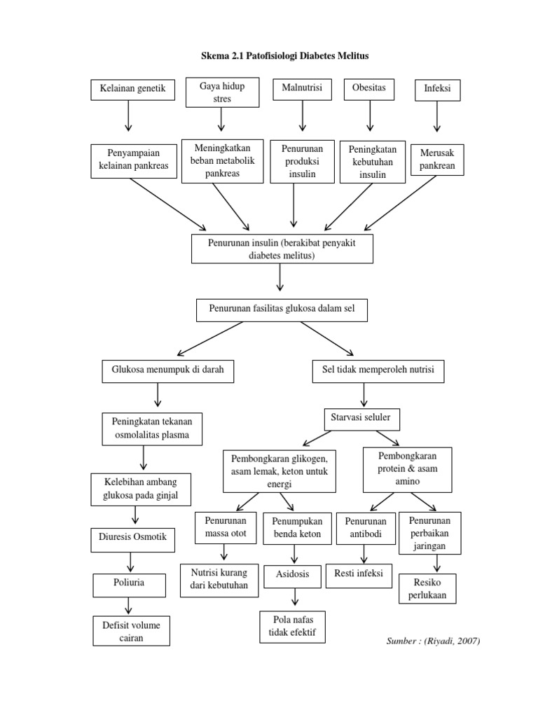 Patofisiologi Dm Tipe 2 Pdf Teman Sekolah