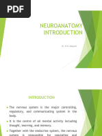 Neuroanatomy Overview by Dr. Bondok | PDF | Neuron | Central Nervous System