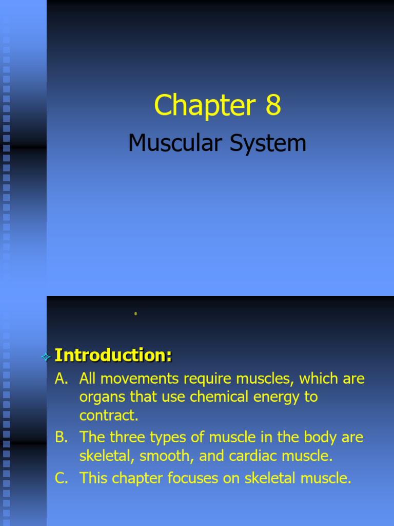 Skeletal Muscle Structure and Function | PDF | Muscle Contraction ...