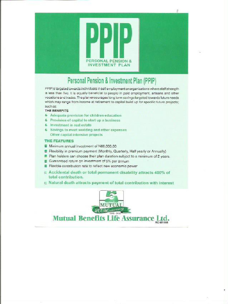 PPIP | PDF