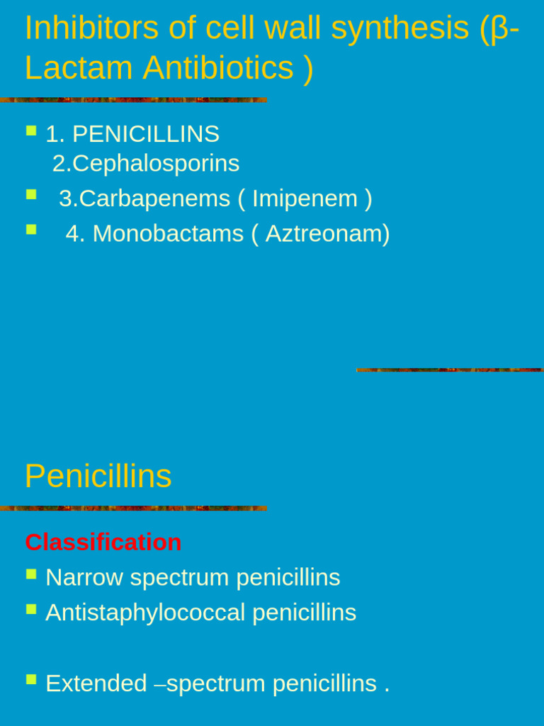 β-Lactam Antibiotics Overview | PDF | Penicillin | Beta Lactamase
