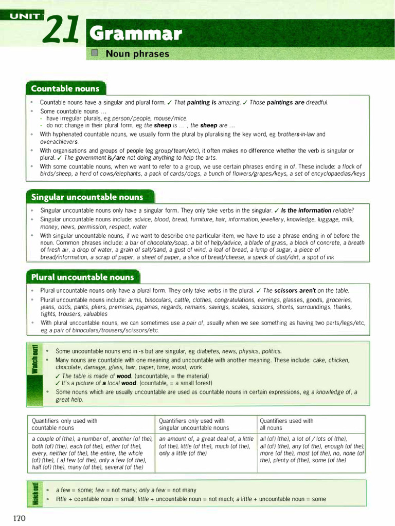 Unit 21. Noun Phrases | PDF | Plural | Noun