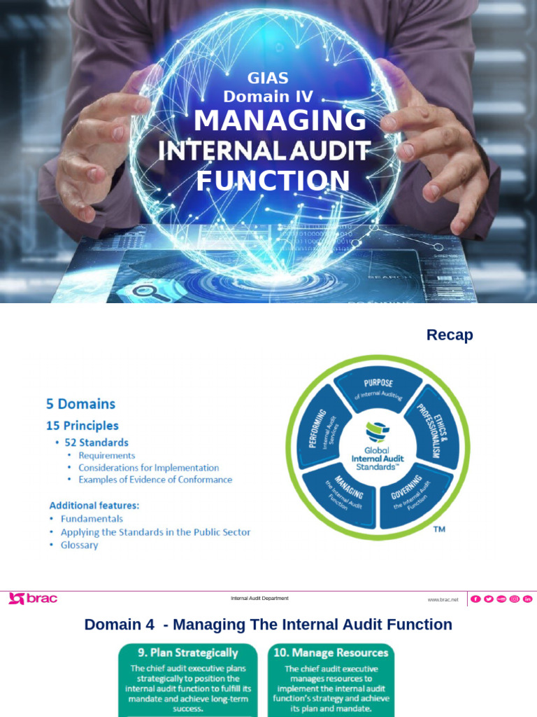 Domain IV Session - Mizan | PDF | Internal Audit | Audit