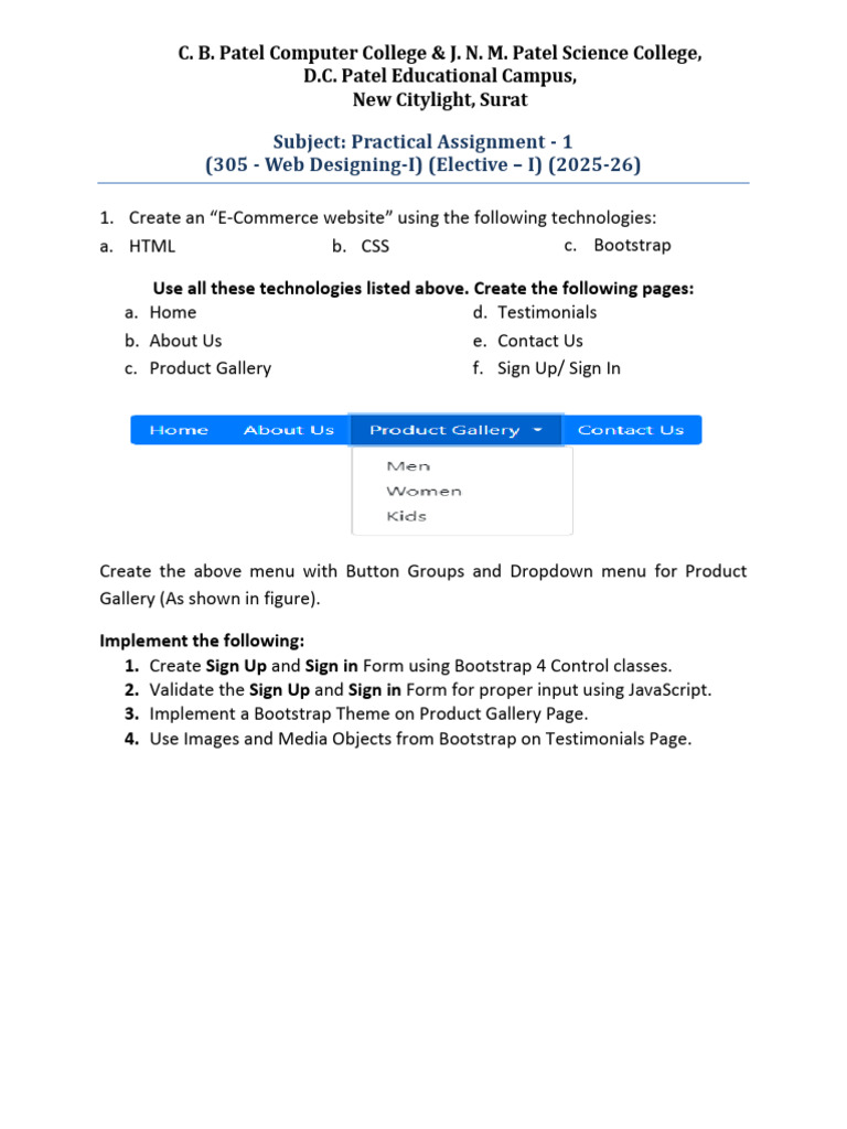 E-Commerce Website Project Guidelines | PDF